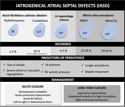 Transseptal puncture: Review of anatomy, techniques, complications and challenges, a critical ...