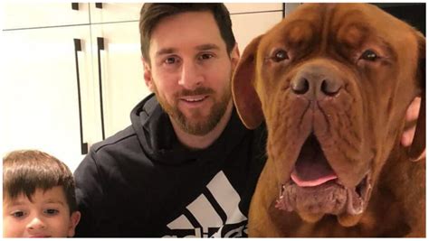 Which breed's dog does Lionel Messi own?