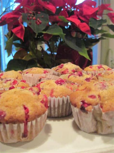 Cranberry Nut Muffins - Moore or Less Cooking