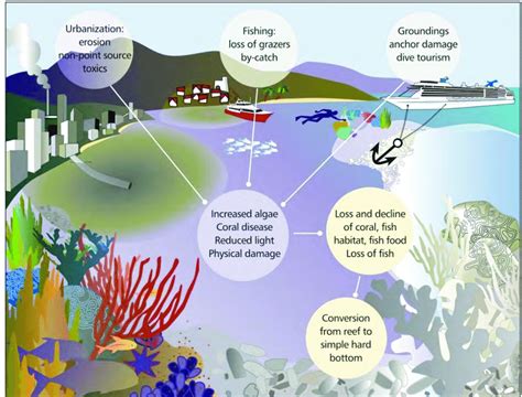 Ecosystem Drawing Easy: A Beginner"s Guide to Sketching Nature"s Wonders