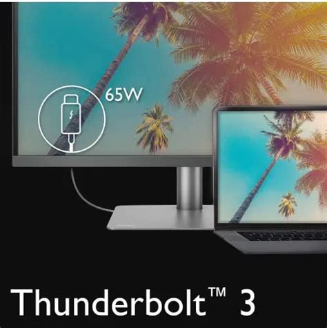 15 Of The Best Thunderbolt 3 Monitors in 2020 - Reviewed 🤴