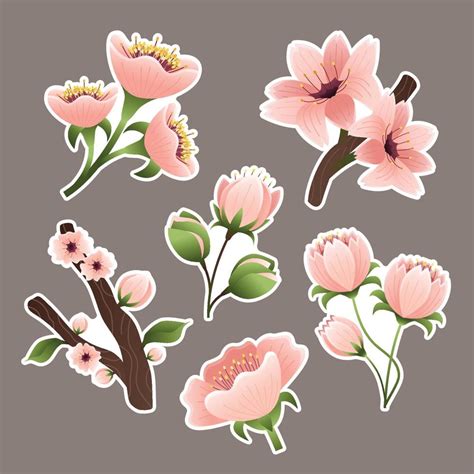 Cherry Blossom Sticker 5859923 Vector Art at Vecteezy