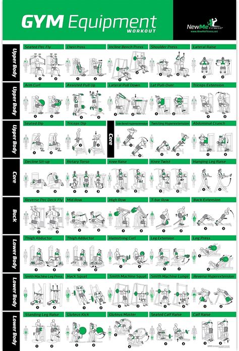 Gym Equipment Exercise Poster for Home or Fitness Center, 20" x 30", Illustrated Chart With 40 ...