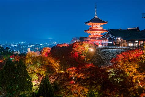 Kiyomizudera Temple Fall Foliage Evening Illumination - Travel Caffeine