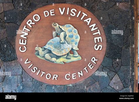 Ecuador, Galapagos Islands. Galapagos tortoise at Tortoise Breeding Center of Isabela Stock ...