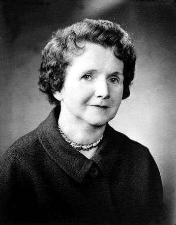 Rachel Carson, Biography