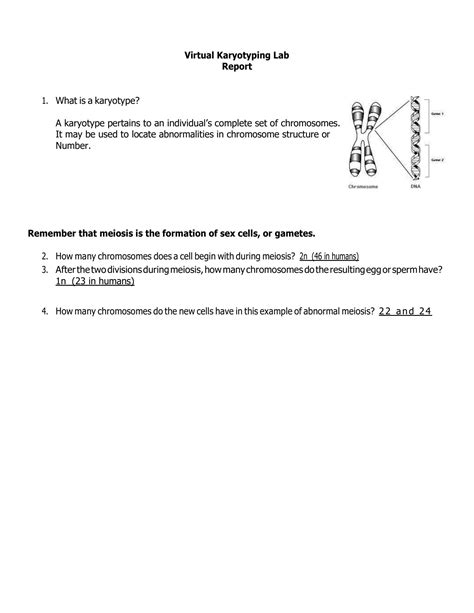 SOLUTION: Genetics karyotype worksheet - Studypool