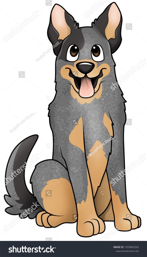 Sitting Australian Cattle Dog Cartoon Style Stock Illustration 1933842563 | Shutterstock