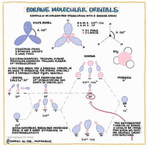 Organic Chemistry Educational Resource: Molecular Orbital Diagram of Borane BH3 | Molecular ...