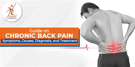 Guide on chronic back pain symptoms, causes, diagnosis, and treatment