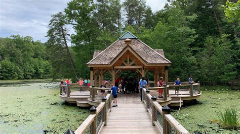 Bays Mountain Day Camp accepting applications for campers