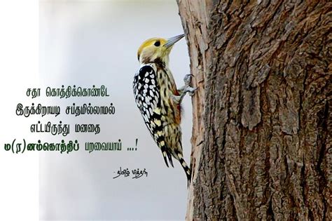 Pin on love poems (TAMIL)