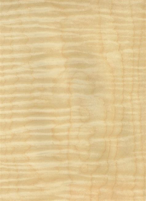 Curly Maple Veneer | M. Bohlke Corp. | Veneer and Lumber