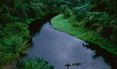 Congo River - Map, Location, Depth, Animals, Quick Facts