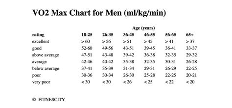 VO2 Max - Cardiorespiratory Fitness | DEXA Scan Near Me