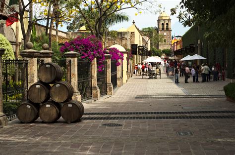 The Top 10 Things to See and Do in Tequila, Mexico