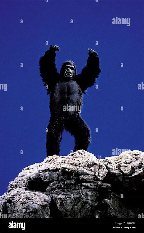 GORILLA, KING KONG LIVES, 1986 Stock Photo - Alamy