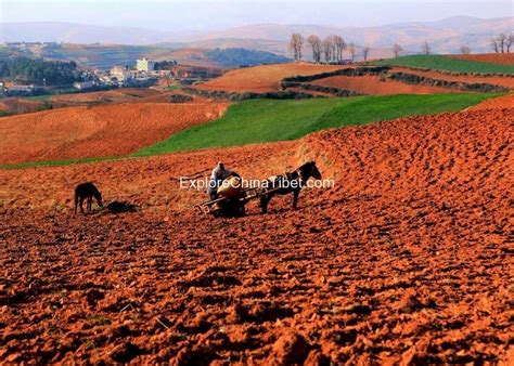 1-Day Dongchuan Red Land Tour – Wonders of Yunnan Travel | Explore ...