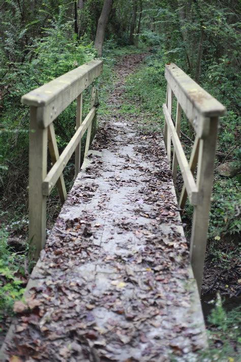 3 Hiking Spots for Beginners from a Beginner | BREC - Parks & Recreation in East Baton Rouge Parish