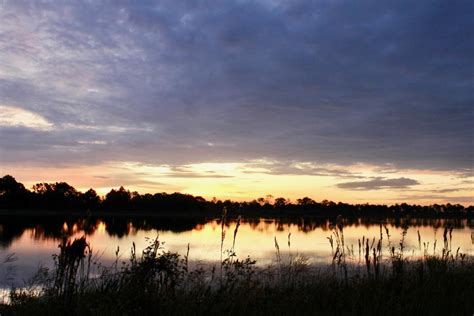 Making the Most of Your Day at Babcock/Webb Wildlife Management Area