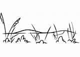 Grassland coloring Page  Free Printable Coloring Pages sketch template