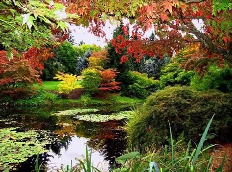 Vancouver Canada Garden | Botanical gardens, Beautiful gardens, Organic ...