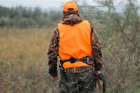 10 Best Orange Hunting Vests for Deer, Upland (& Dogs!)