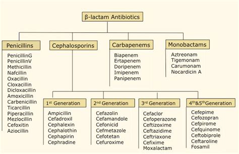 Beta-lactam antibiotics: Penicillin, Cephalosporin, Monobactam ...