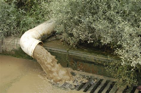 Maryland General Assembly Votes to Protect Clean Water — Potomac Conservancy