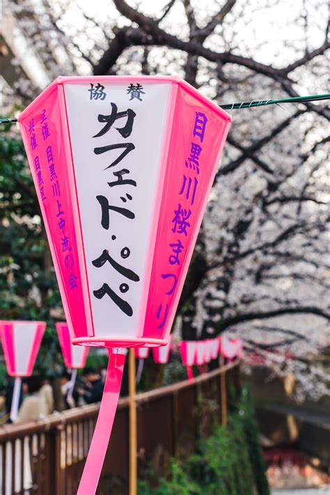 Our Cherry Blossom Experience At The Famous Meguro River in Tokyo - Travel Pockets