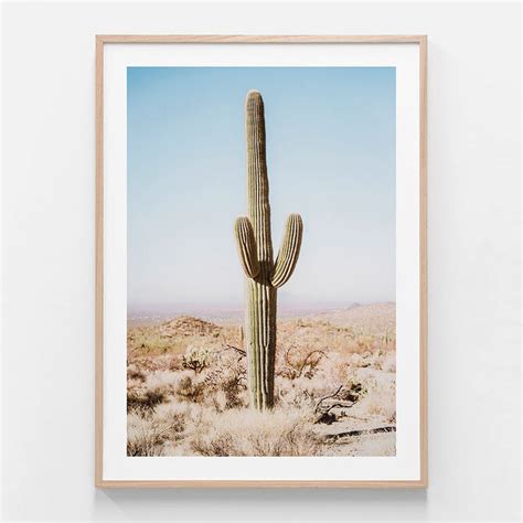 Botaniacal art prints - California Desert Cacti- Canvas Prints - Poster ...