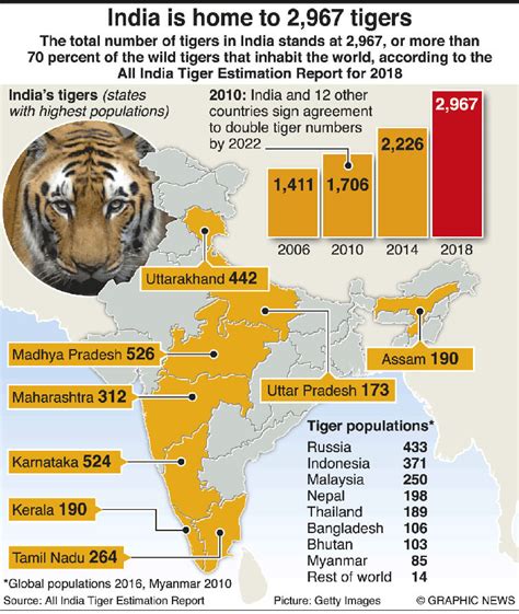 Tiger Count in India Reaches 2,967: Madhya Pradesh Roars the Loudest | Wildlife News