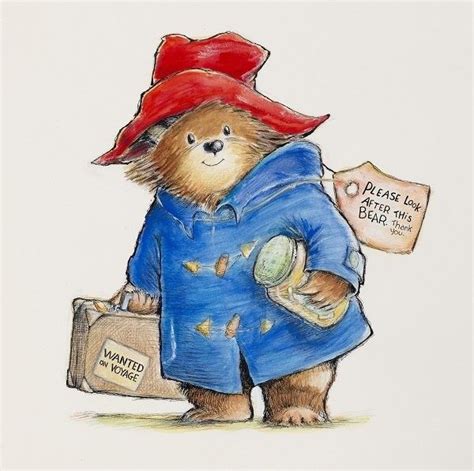 paddington | Bear illustration, Bear art, Paddington bear books