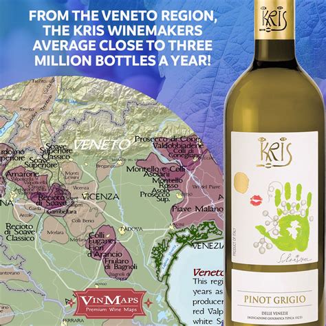 Italy Wine Regions Map - Premium Italy Wine Map - VinMaps® | Wine region map, Italy wine, Wine map