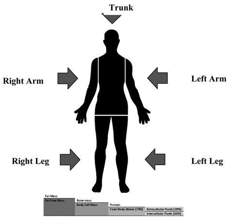 Sensors | Free Full-Text | The Theory and Fundamentals of Bioimpedance ...