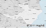 Satellite Map of Cuttack