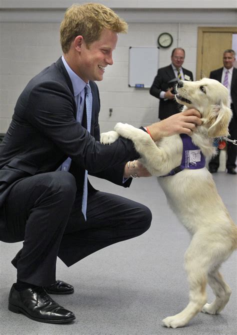 The Golden Retriever Boyfriend Trend - What It Is & Why It Has Become Popular