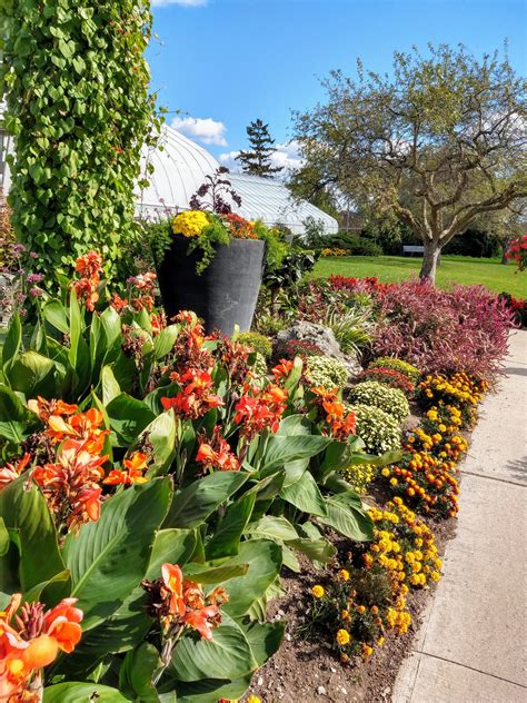 Centennial Park and Centennial Park Conservatory Toronto – My Amazing ...