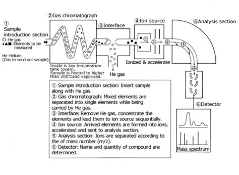 Gas Chromatograph Mass Spectrometer | Science Basics | Products | JEOL Ltd.