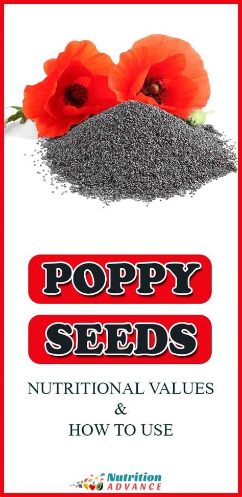 Poppy Seeds: Nutrition Facts, Benefits, and Downsides in 2021 | Poppy ...