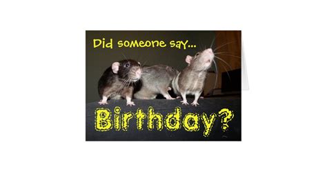 rat birthday card | Zazzle