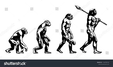 Theory of evolution of man. Human development from monkey to caveman. Neanderthal, Java Man ...