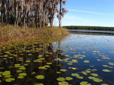 Lifelong Nomad: Lake Louisa State Park, Florida