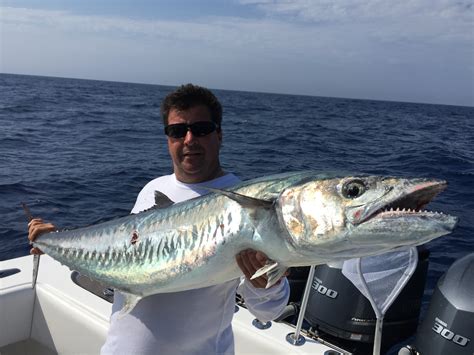 Kingfish Fishing in the Florida Keys