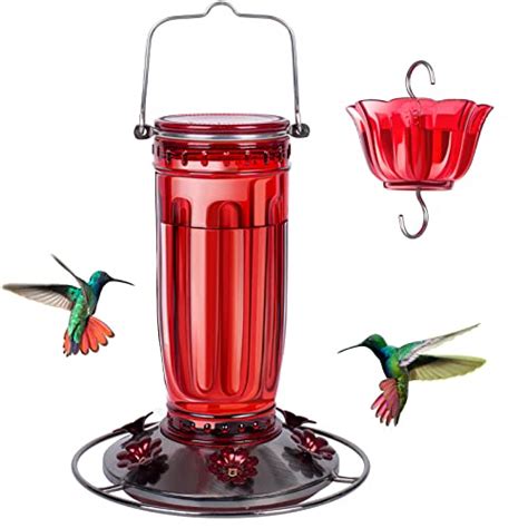 What's The Best Rated Hummingbird Feeder Recommended By An Expert - Glory Cycles