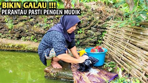 SUASANA PEDESAAN DI PAGI HARI YANG NYAMAN SERTA KEGIATAN WARGA YANG BIKIN RINDU PULANG KAMPUNG ...