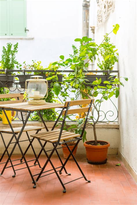 A Beginner's Guide to Balcony Privacy Plants - Balcony Boss