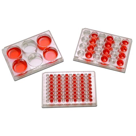 P1024 Argos 24 Well Tissue Culture Plate, Sterile, Clear New Laboratory ...