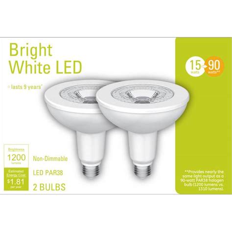 GE 2-Pack 15-Watt Bright White LED PAR38 Light Bulbs - 32604 | Blain's Farm & Fleet