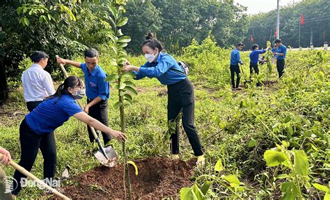 Mỗi cán bộ, đoàn viên, thanh thiếu nhi trồng và chăm sóc ít nhất 1 cây ...